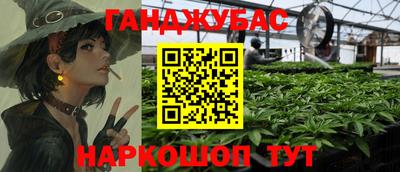 прущие грибы Лесосибирск
