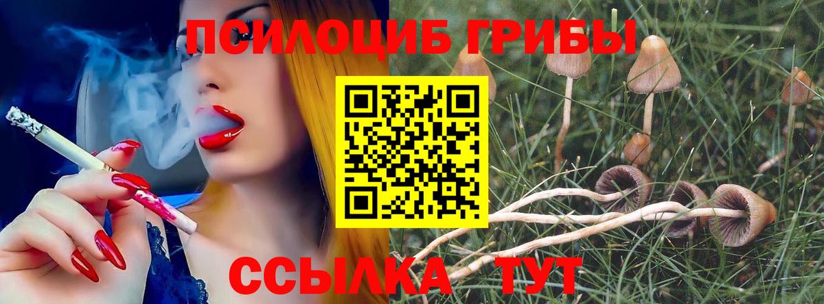 Галлюциногенные грибы мухоморы  Вход с VPN  Джанкой 
